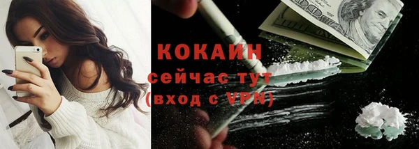 молекула духа Бронницы