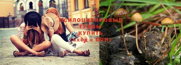 MDMA Бородино
