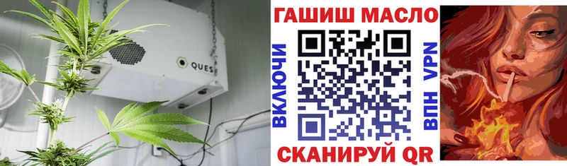 ТГК Wax  Юрьев-Польский 